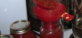 Making Chilisauce