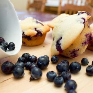 blueberry muffin
