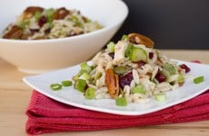 chicken and orzo salad fi4