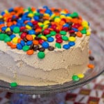 Chocolate Peanut Butter Cake with M&Ms fi1