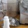 Cuisinart 7 Cup Food Processor – Product Review