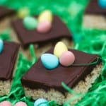 Mini Egg Rice Krispie Squares FIC
