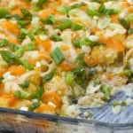 Country Chicken Tater Tot Casserole fi2