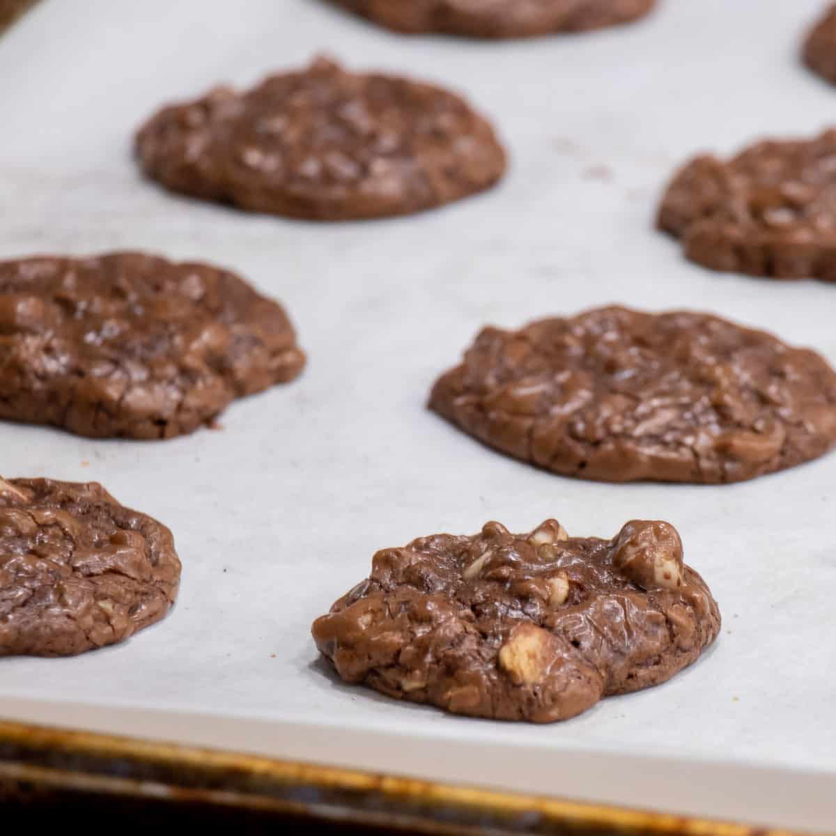 A tray of fresh baked cookies coming out of the oven