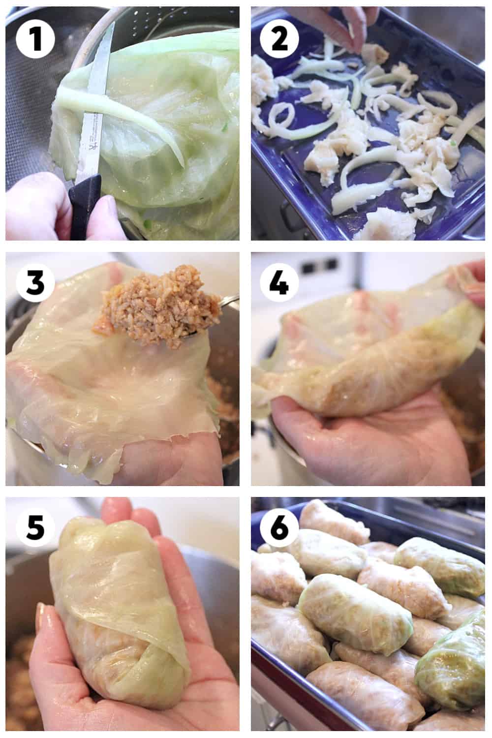 Step by step photos for how to make a cabbage roll.
