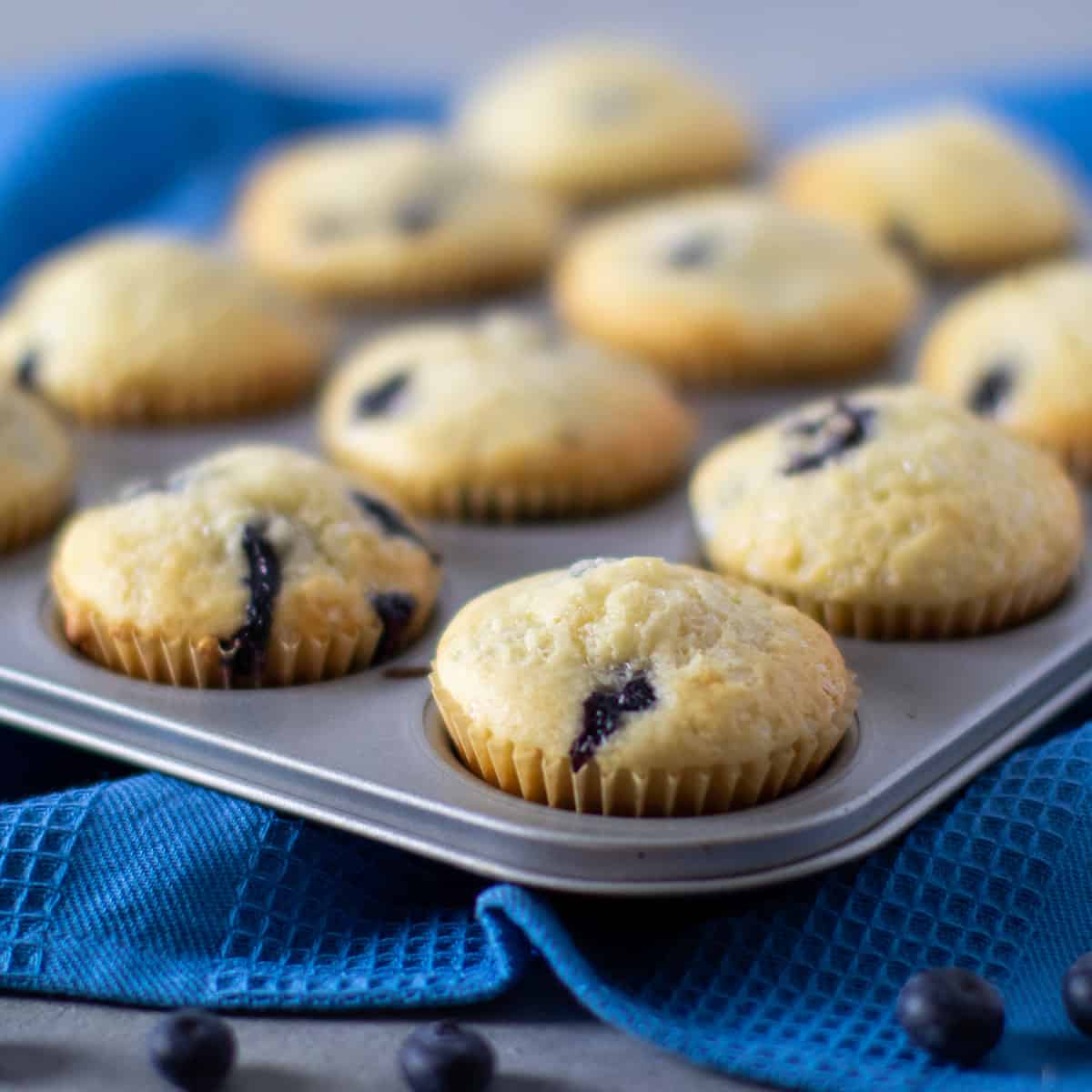 A tray of fresh baked muffins.