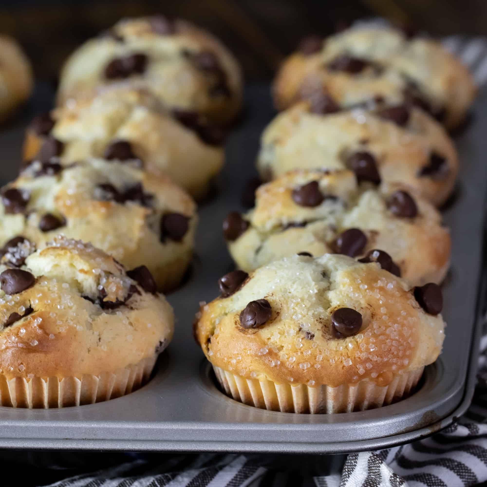 Fresh baked chocolate chip muffins in a tray.