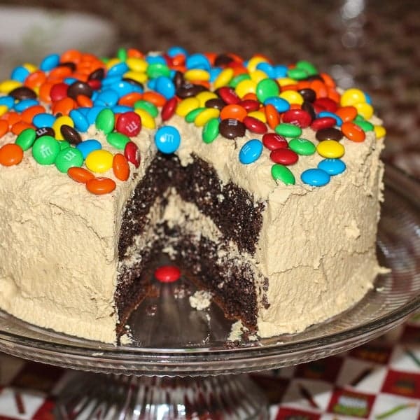 Chocolate Peanut Butter Cake with M&Ms sq2-2