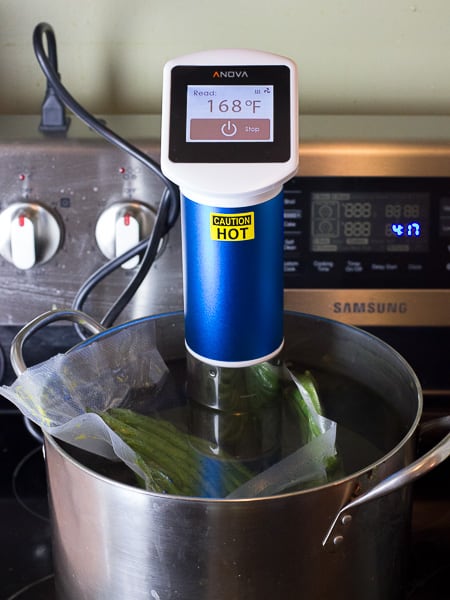 Anova Sous Vide Circulator-7