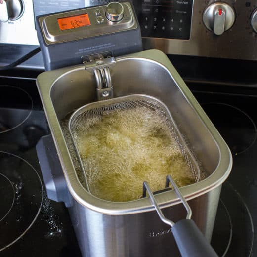 Breville Smart Fryer Deep Fryer Product Review bdf500xl