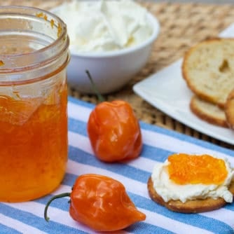 Easy to make sweet red pepper jelly that is great with crackers and cream cheese. Simple canning with instructions for how to process in hot water bath.