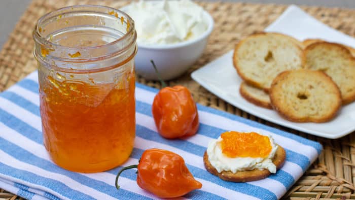 Easy to make sweet red pepper jelly that is great with crackers and cream cheese. Simple canning with instructions for how to process in hot water bath.