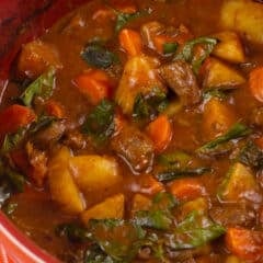 Stew in a red pot.