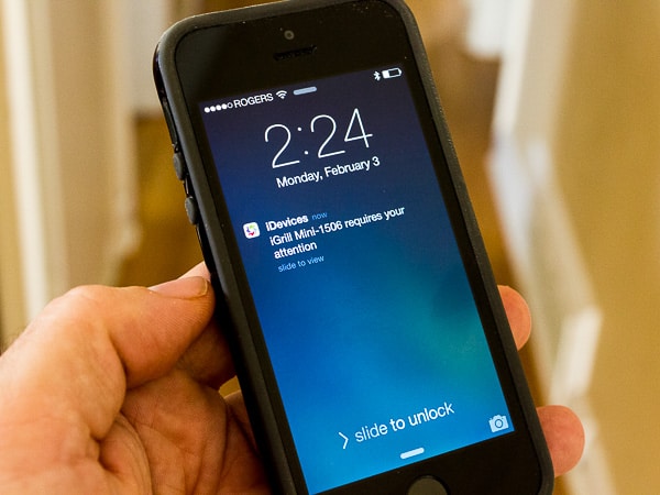 iGrill mini Digital Thermometer Product Review