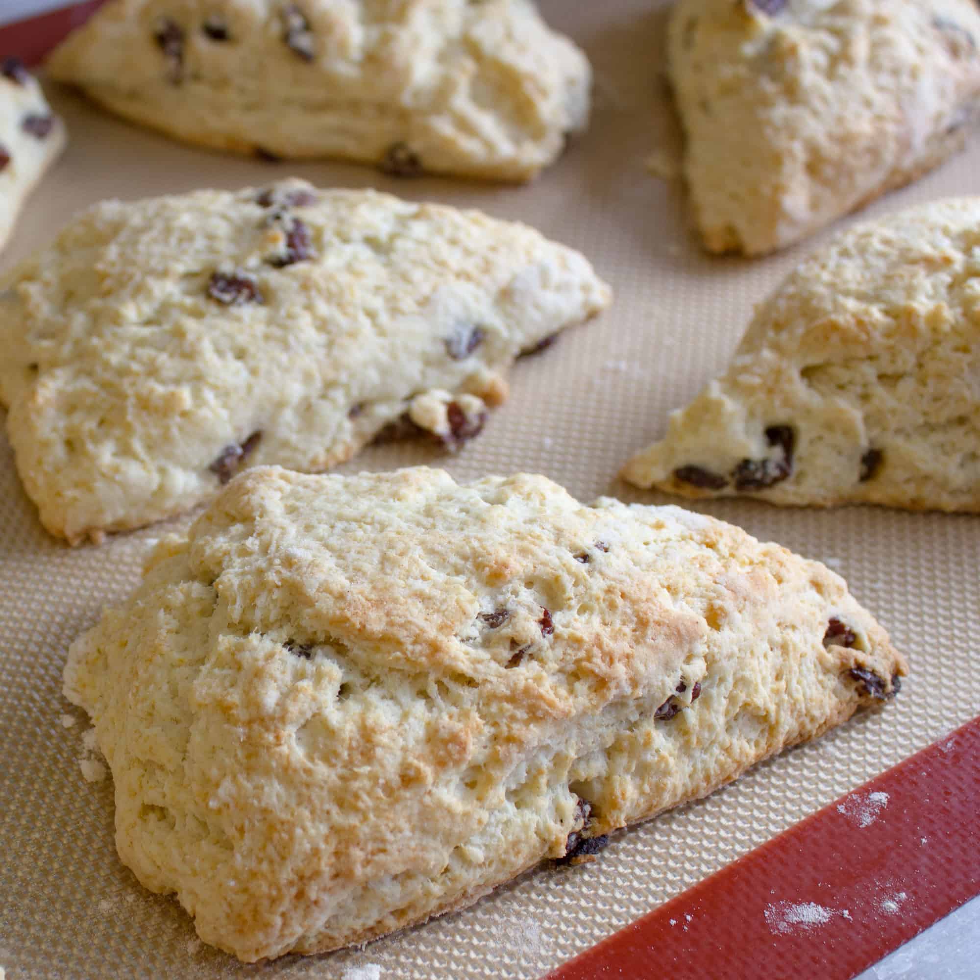 These raisin scones are buttery and flaky baked biscuits. Super easy to make and bake. The raisins can be substituted with dried cranberries or some fresh blueberries, strawberries etc.