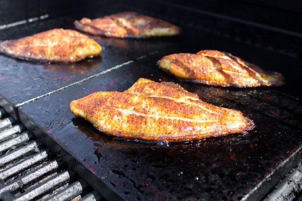 Grilled Catfish Corn and Black Bean Tostadas-4