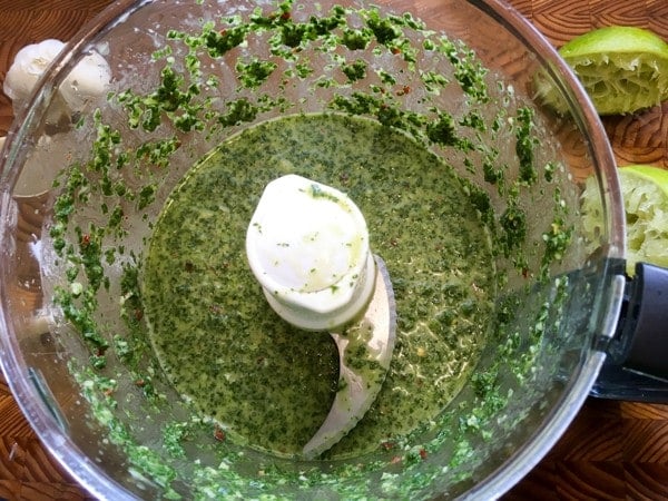 chimichurri food processor-2