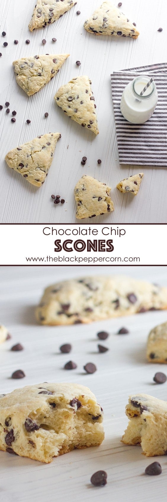 chocolate chip scones pinterest