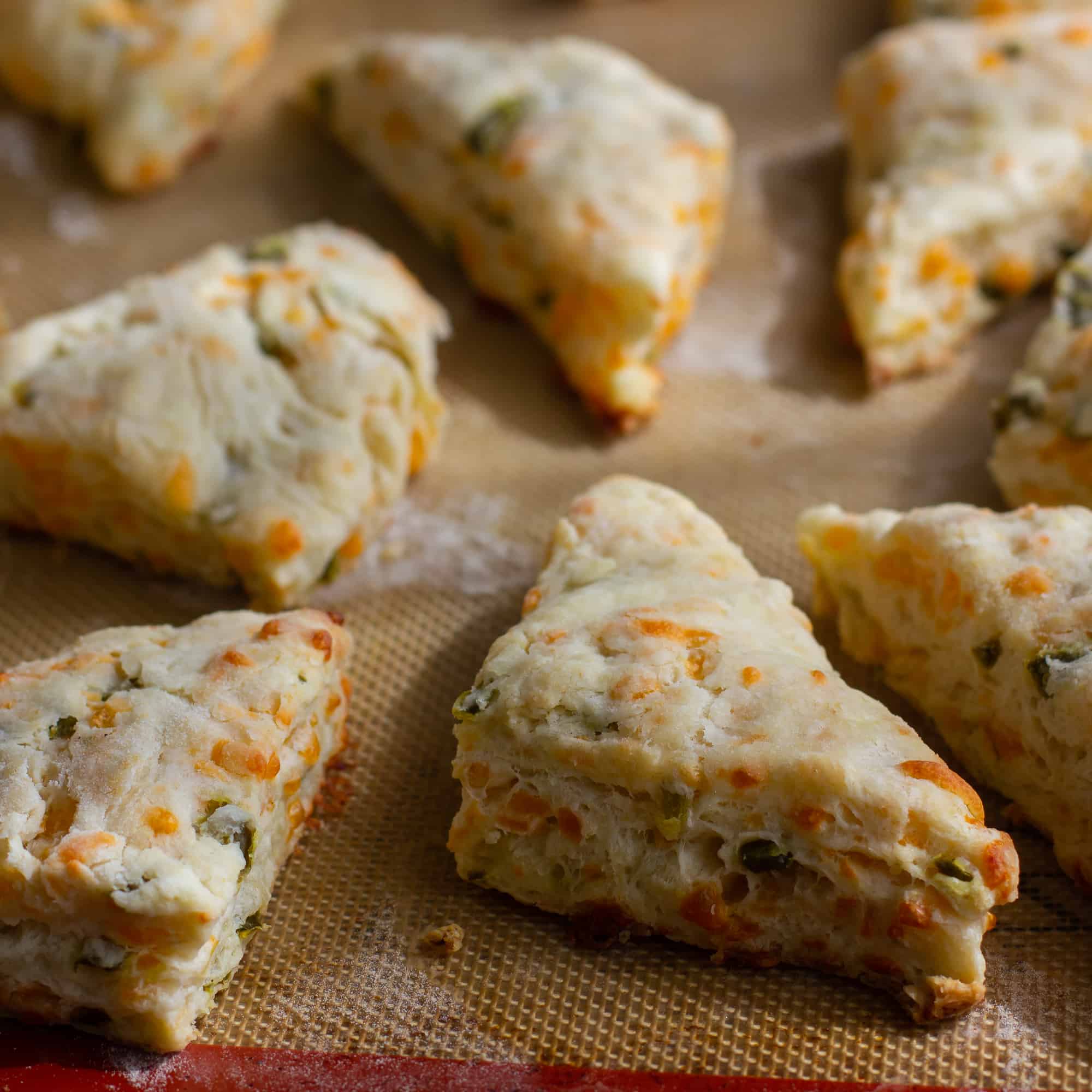 Fresh baked cheddar jalapeno scones are biscuits that have lots of cheddar cheese and minced pickled jalapeño peppers. Best served warm with soup or chili!