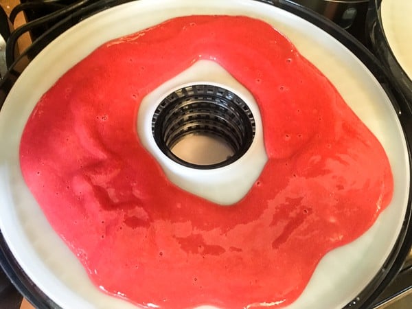 How to Make Fruit Leather with a Food Dehydrator Homemade roll-ups