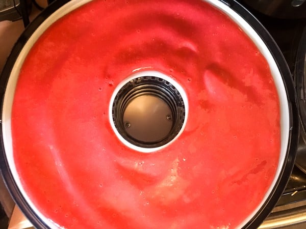 How to Make Fruit Leather with a Food Dehydrator Homemade roll-ups