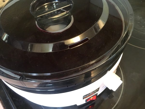 How to Make Fruit Leather with a Food Dehydrator Homemade roll-ups