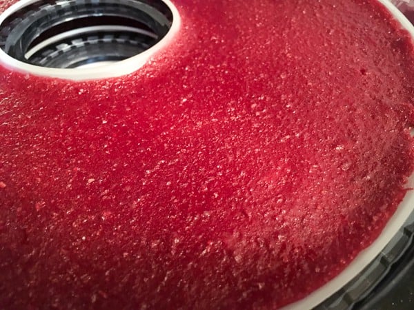 How to Make Fruit Leather with a Food Dehydrator Homemade roll-ups