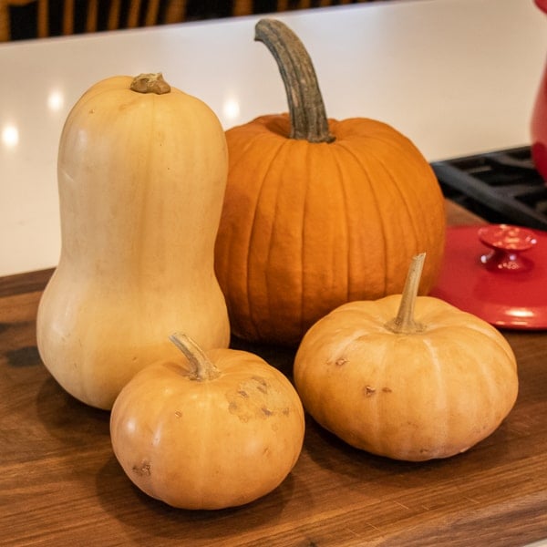 creamy butternut pumpkin coconut milk soup recipe