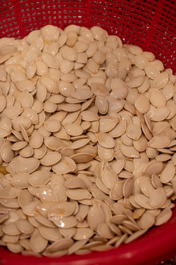 How to Roast Pumpkin Seeds in the Oven Recipe