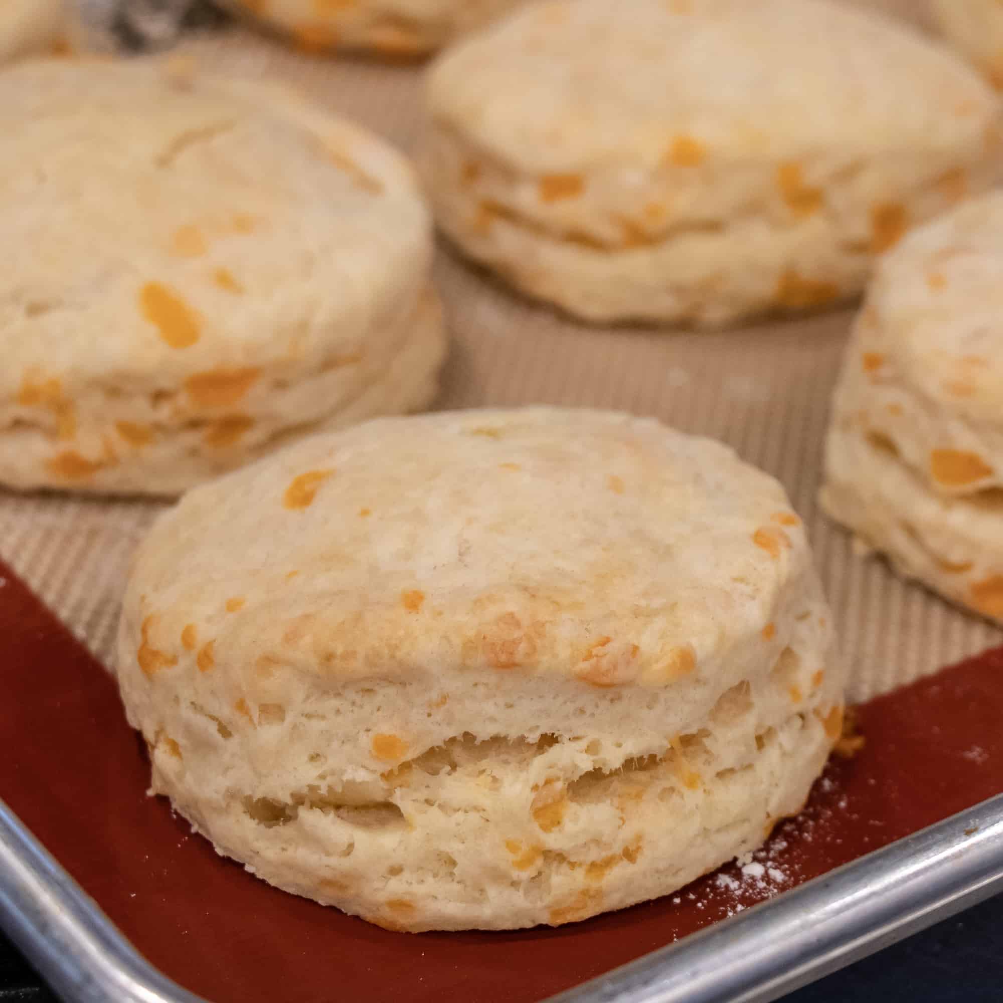 Buttery cheddar biscuits closeup