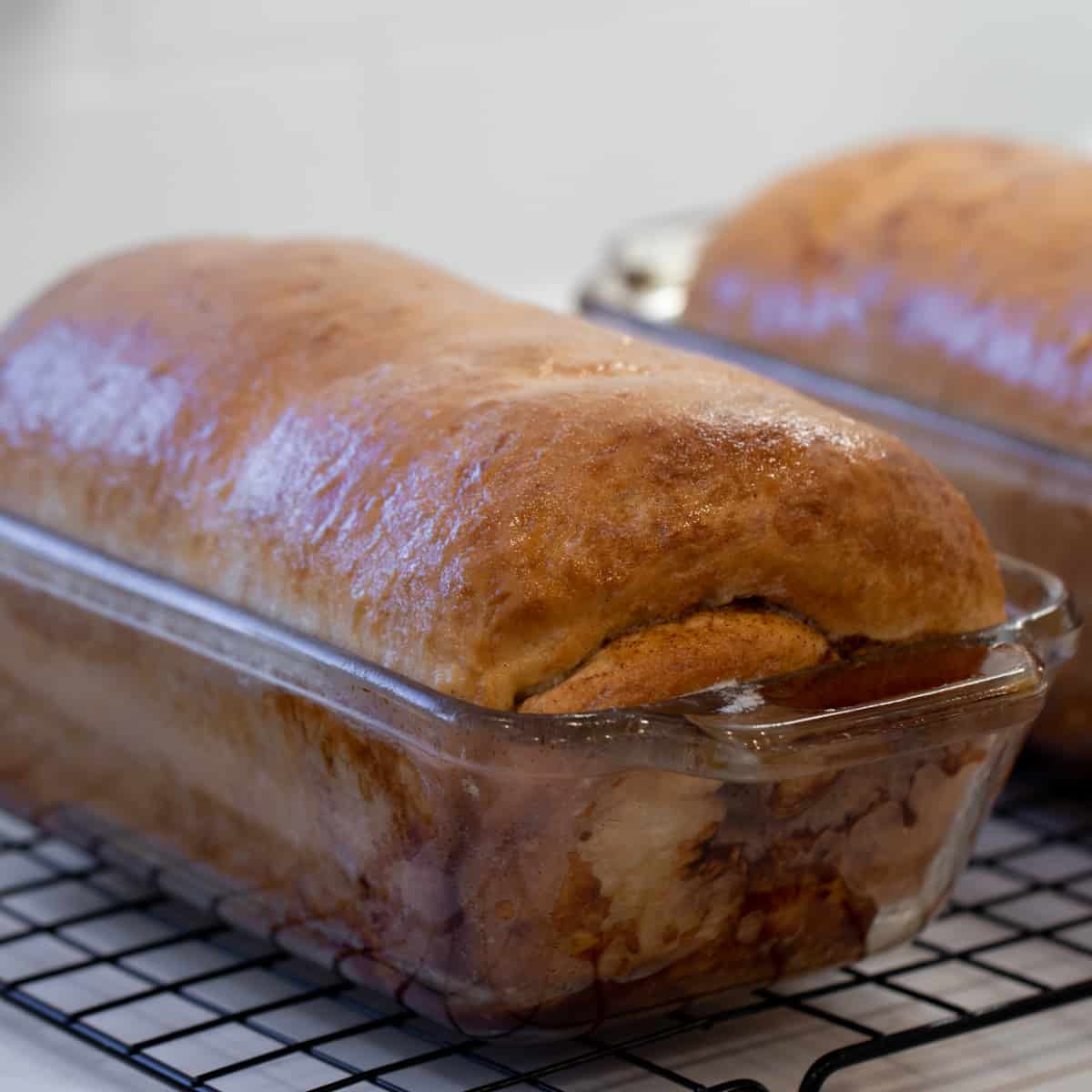 Two loaves of baked bread in glass loaf pans.
