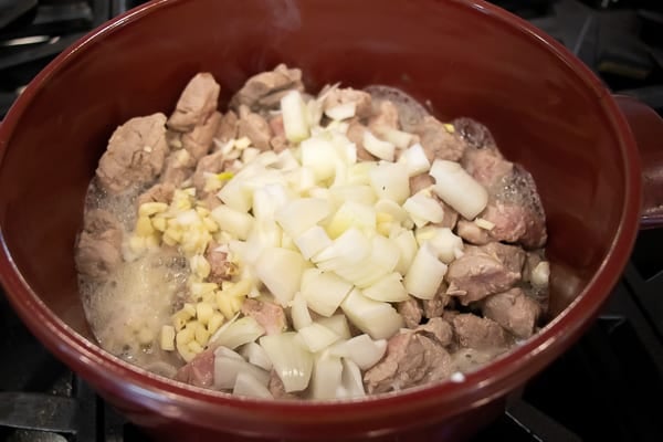 Delicious recipe and instructions for how to make pork stew in a dutch oven with pork tenderloin, potatoes, carrots, onions, mushrooms, celery and more.