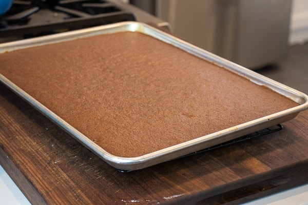 Easy Texas sheet cake recipe made in a 18x13 half sheet pan. Thin layer chocolate cake with fudge like icing. Moist cake made with butter, cocoa, sour cream.