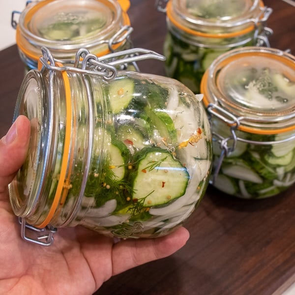 Refrigerator Dill Pickles Recipe - How to make refrigerator pickles with this simple recipe. Sweet and tangy, these dills have a crispy crunch with each bite. 