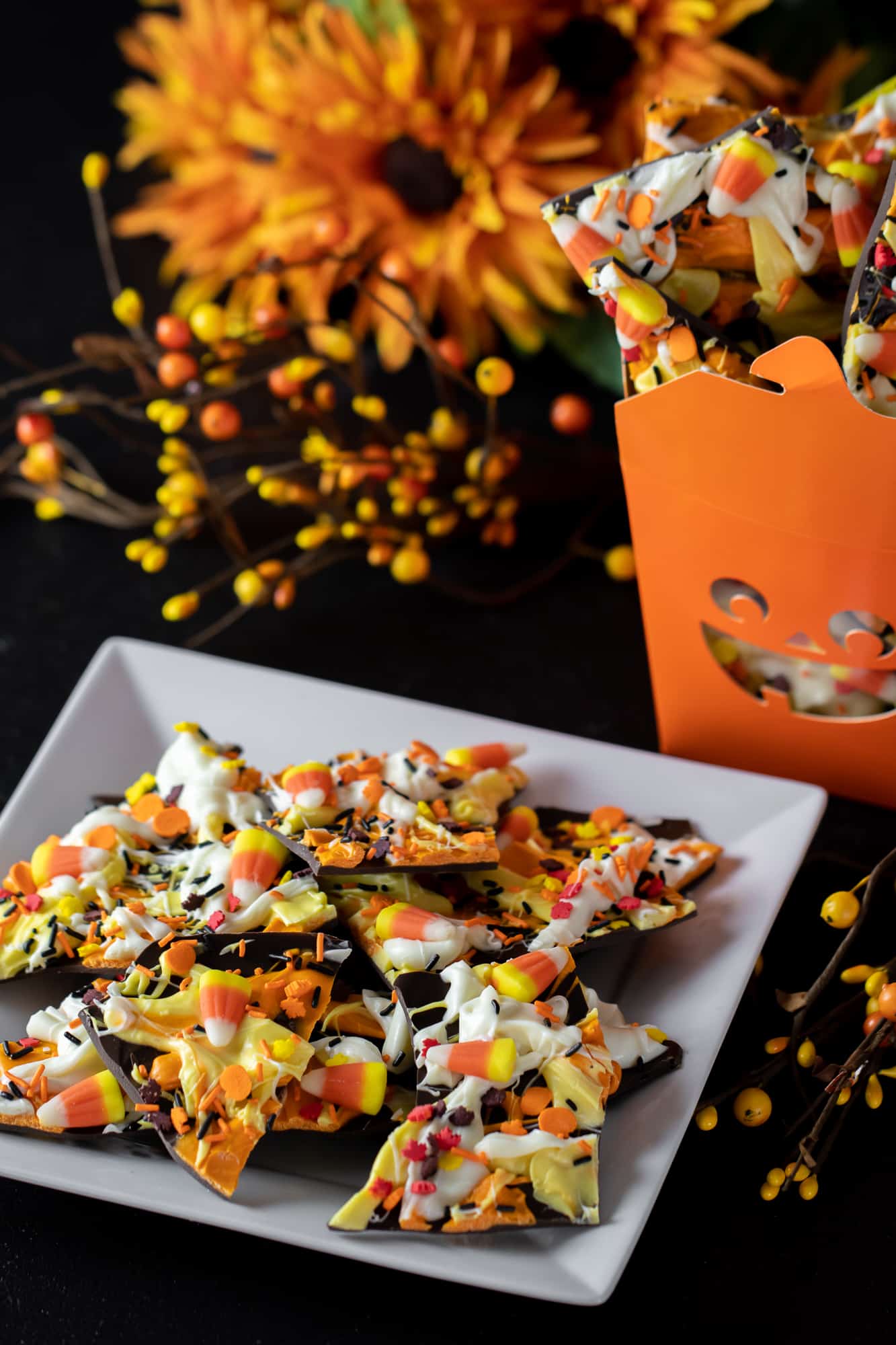 Tall image of plate of chocolate bark and gift container.