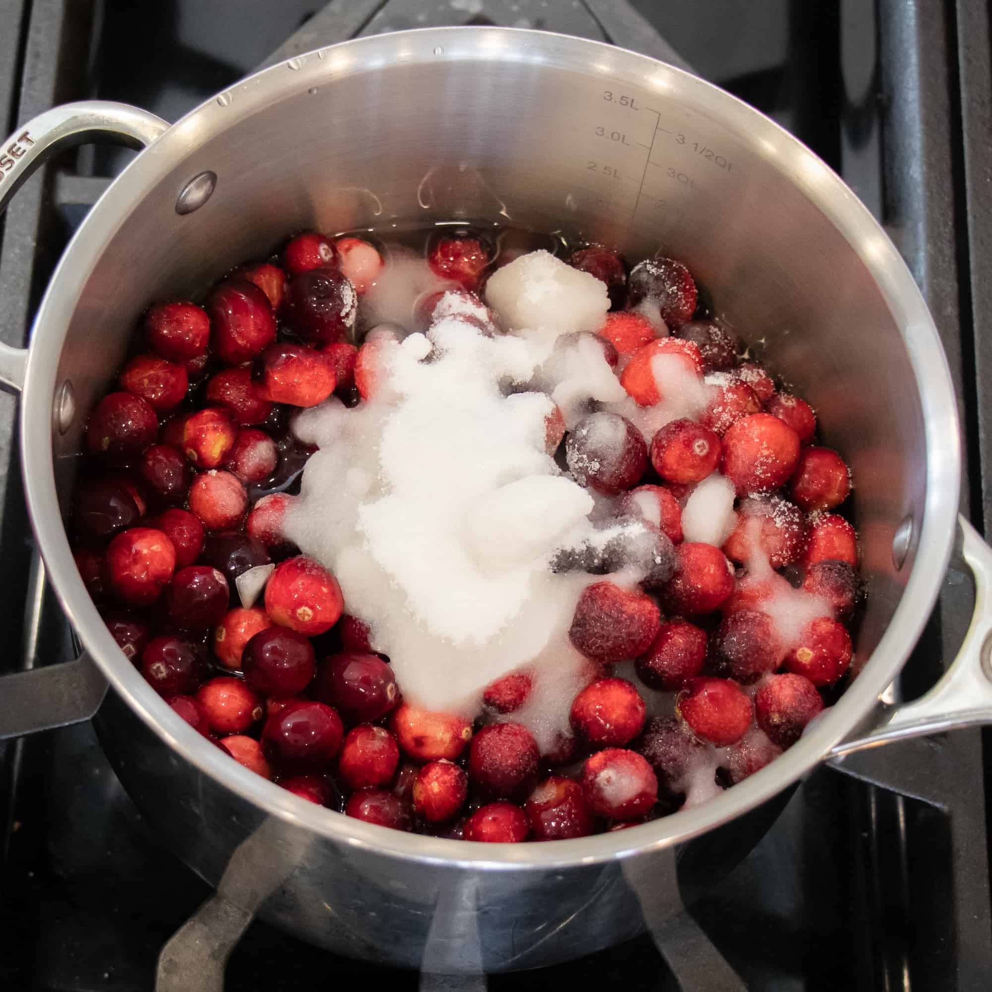 Place the cranberries, sugar, water and spices to a saucepan.