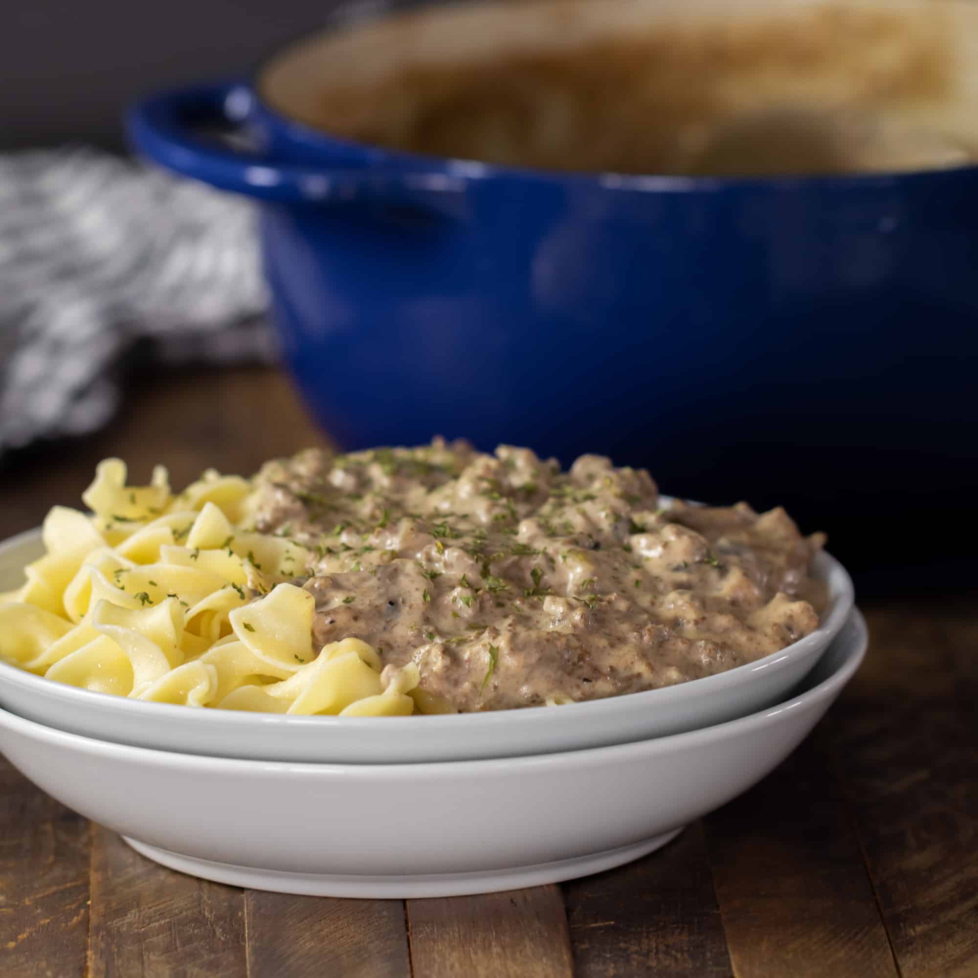 A bowl of beef stroganoff with egg noodles in front of a dutch oven.