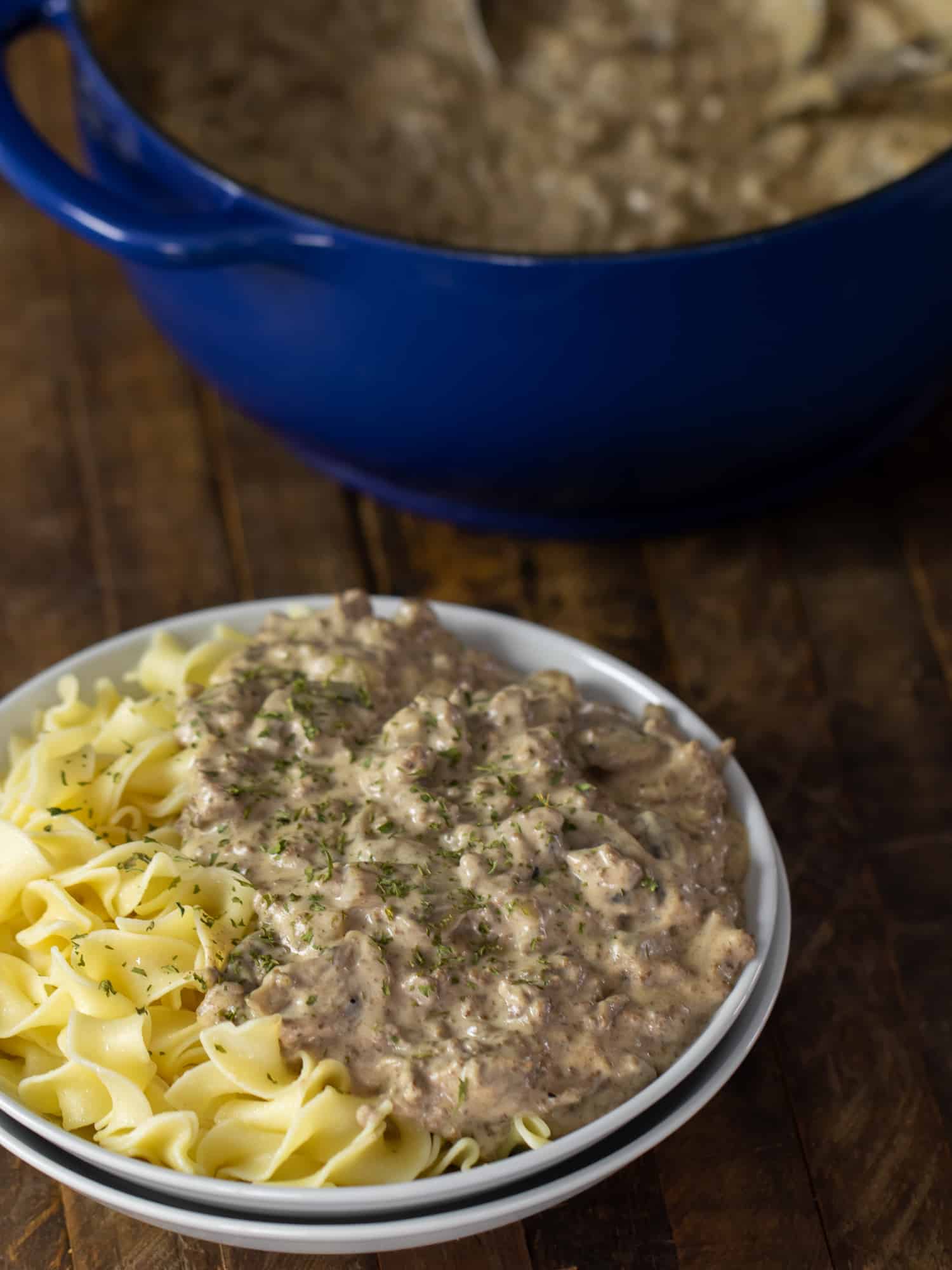 An overhead picture of a bowl and a pot with beef stroganoff.