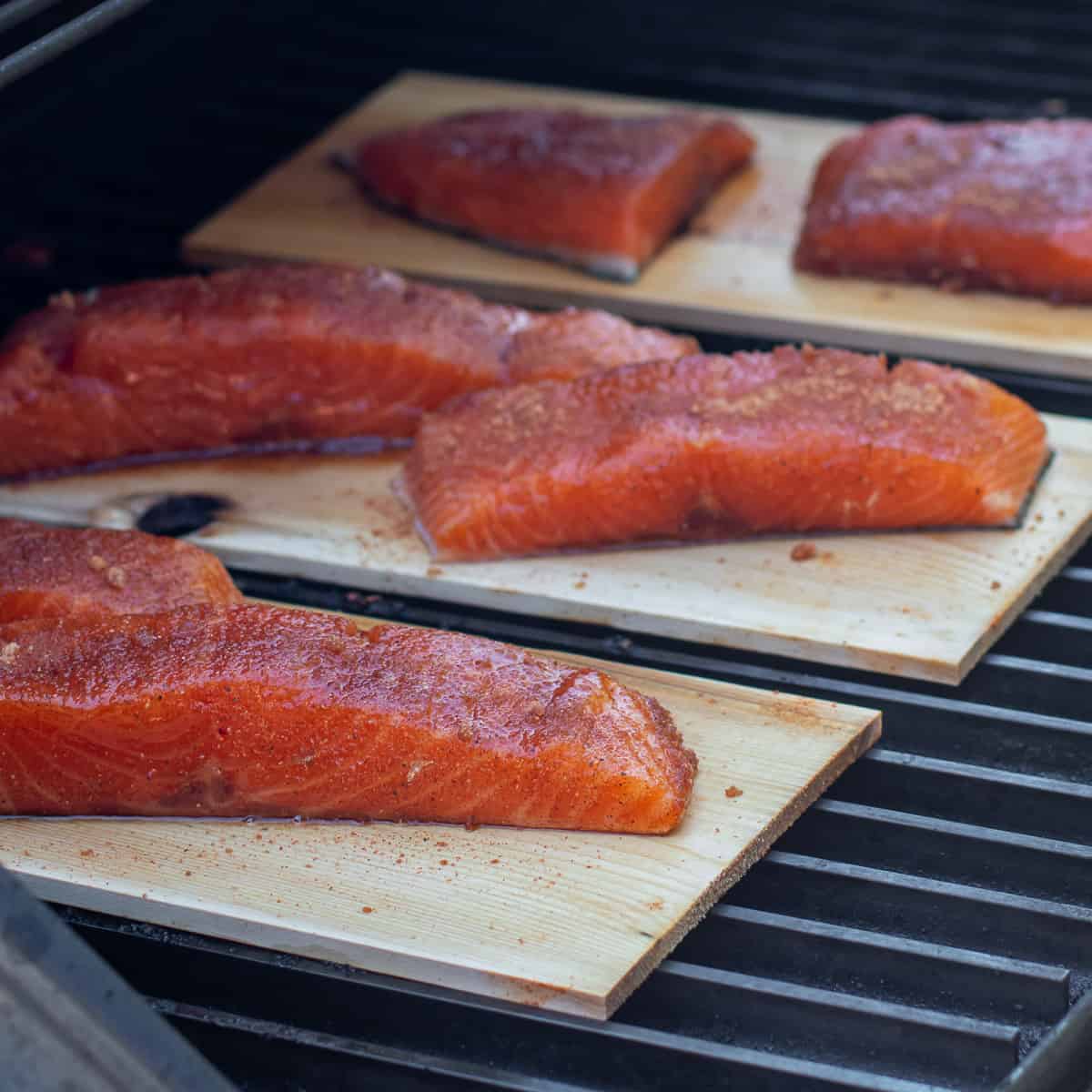 Traeger salmon cedar plank hotsell
