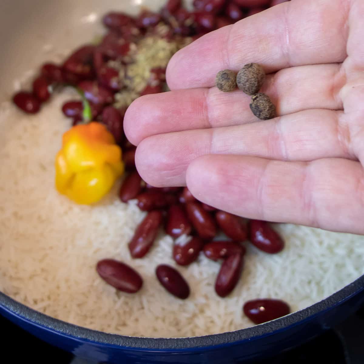 Holding three allspice berries over the pot.