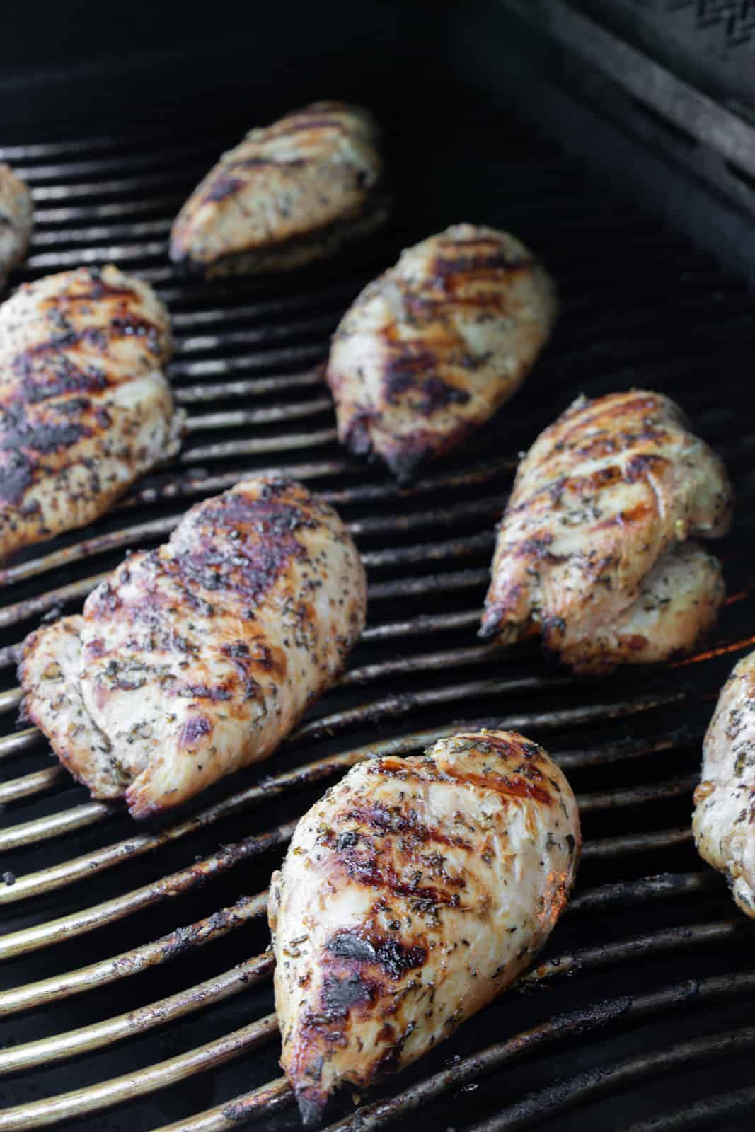 Grilled chicken breasts on the BBQ.