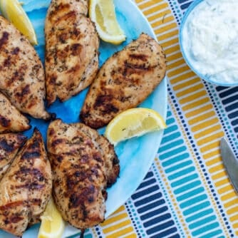 Overhead picture of a plate of grilled chicken.