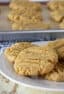 A plate of fresh baked peanut butter cookies.