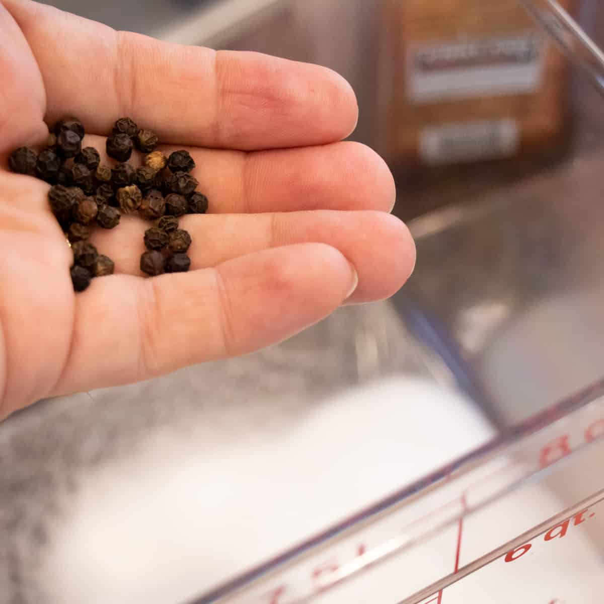 Holding a handful of whole black peppercorns.