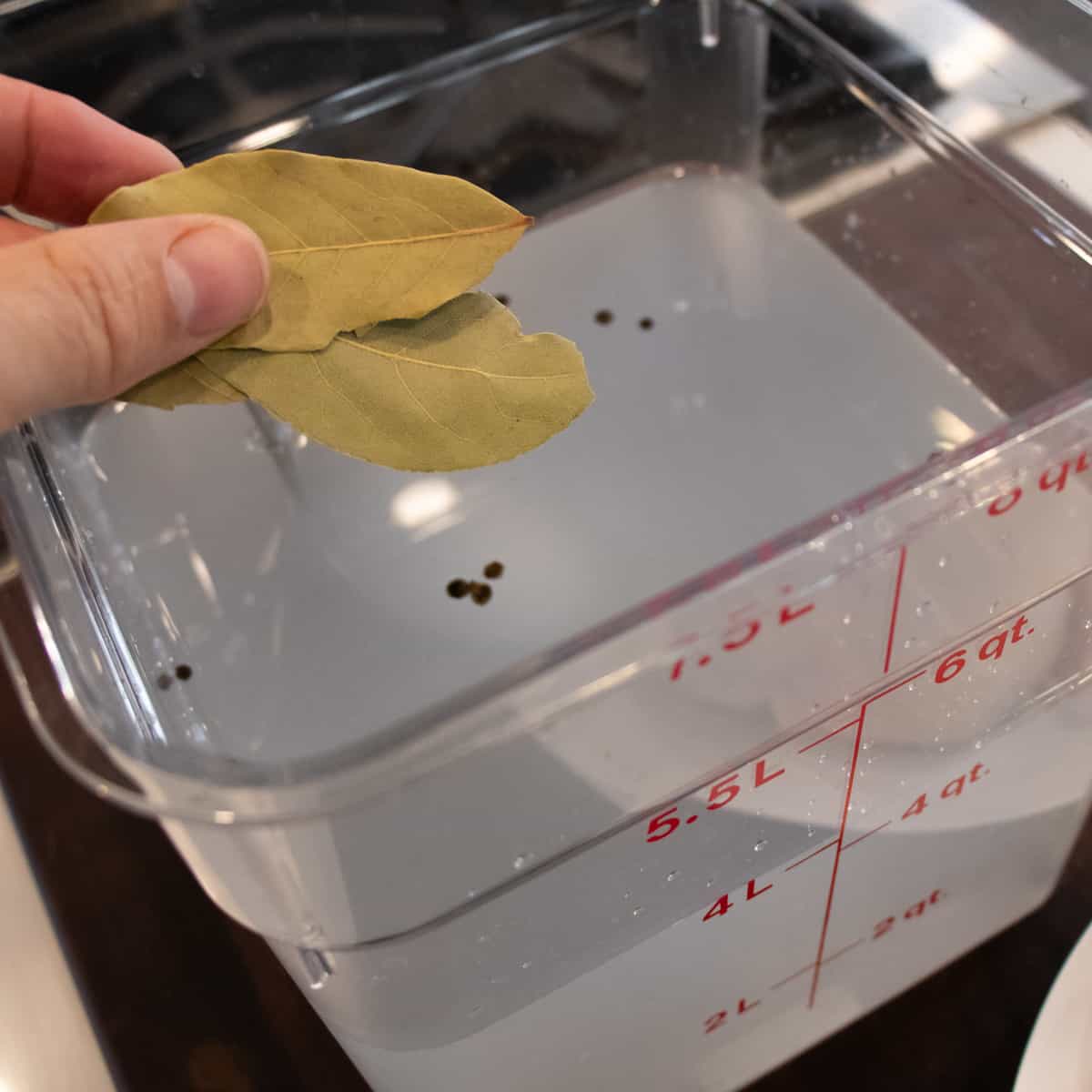 Holding a few bay leaves about a brine mixture.