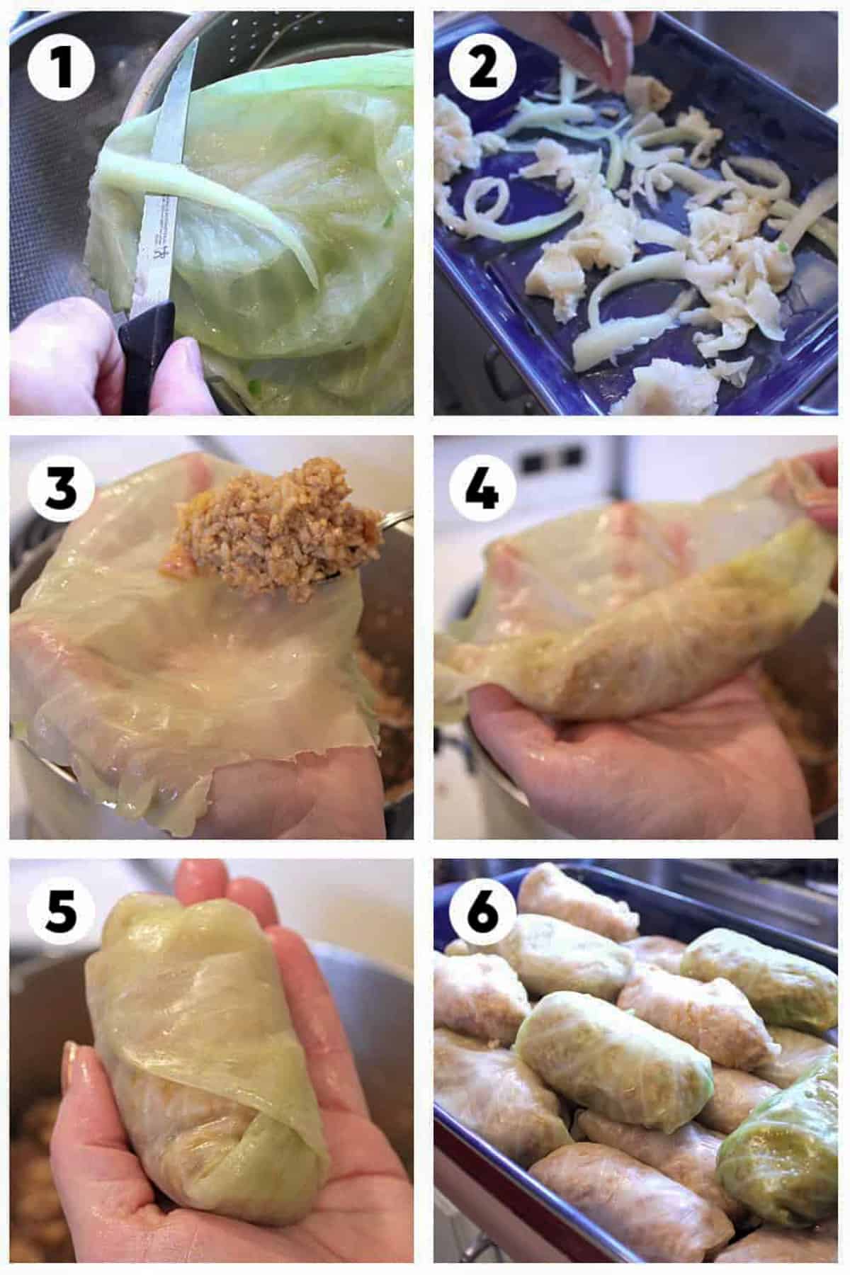 Step bit step photos showing how to make a cabbage roll.