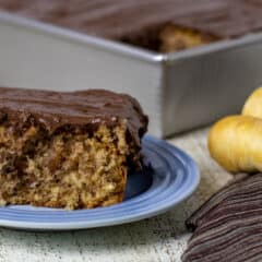 A piece of cake with chocolate icing next to two whole parsnips.