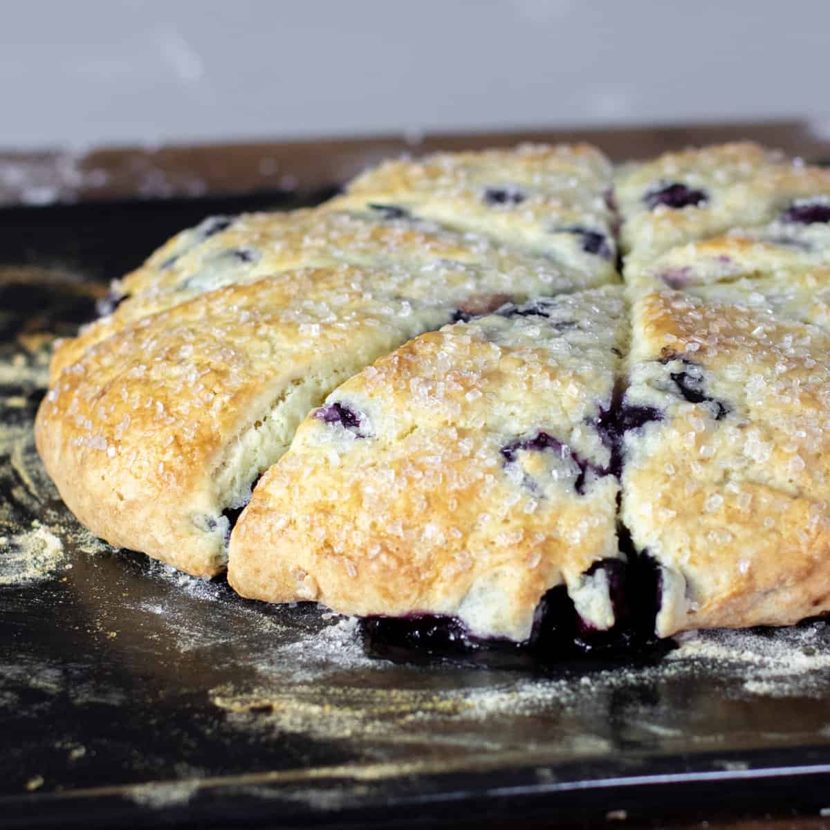 Fresh baked blueberry scones just out of the oven.