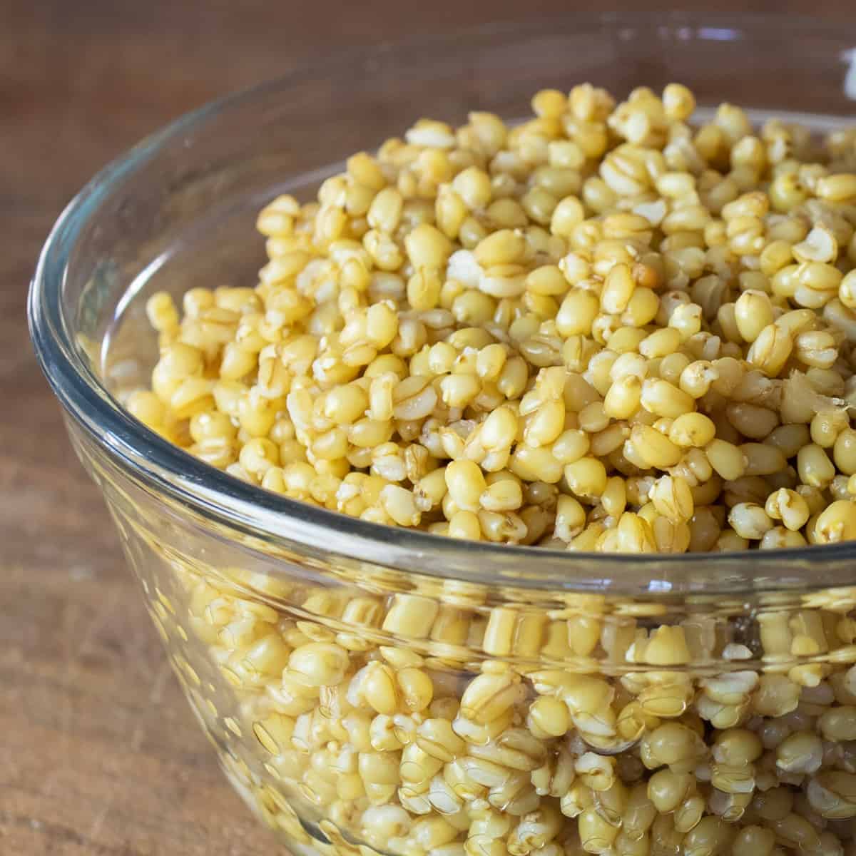 Cooked wheat berries in a glass bowl.