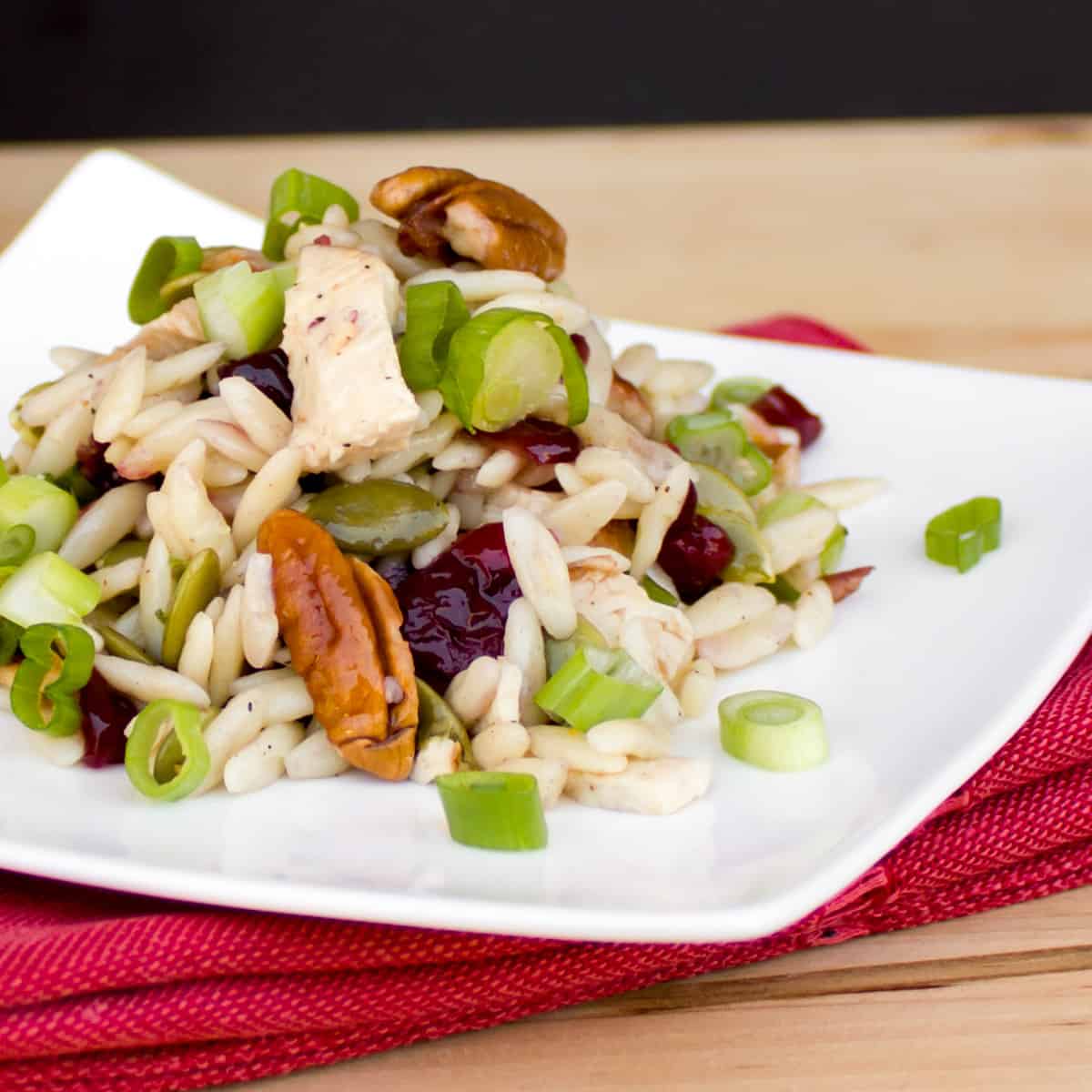 Orzo pasta with chicken, pecans and cranberries mixed together.